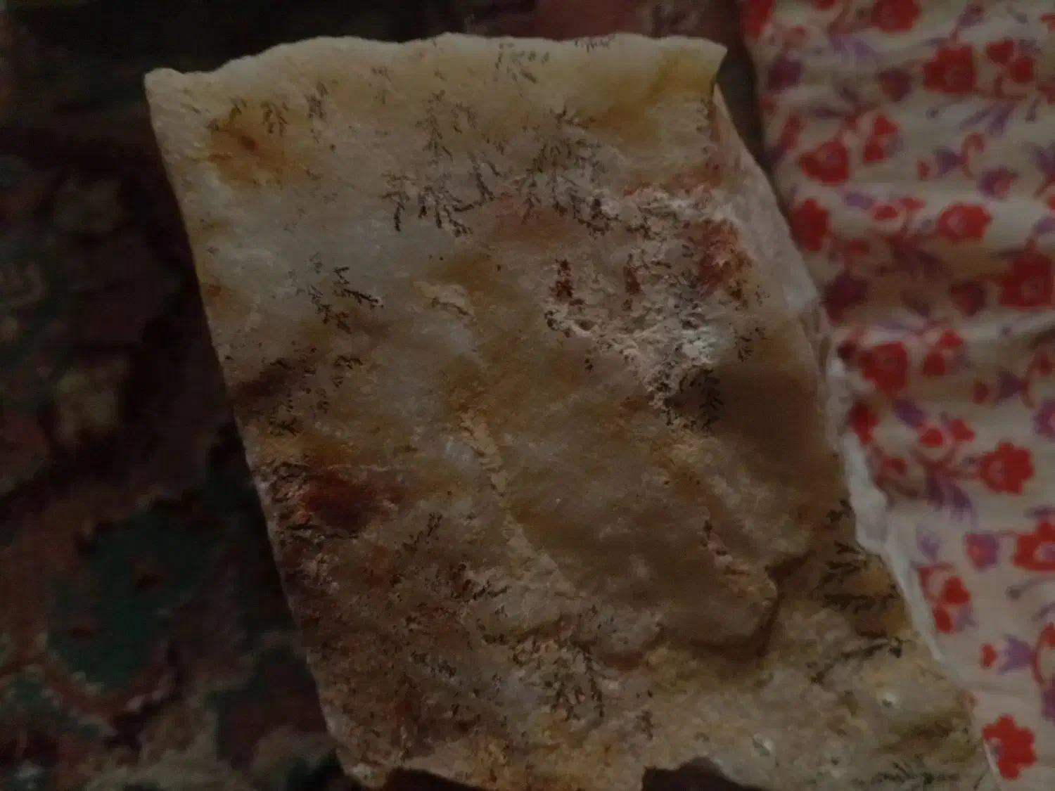 سنگ شجر|کلکسیون اشیاء عتیقه|میانه, |دیوار