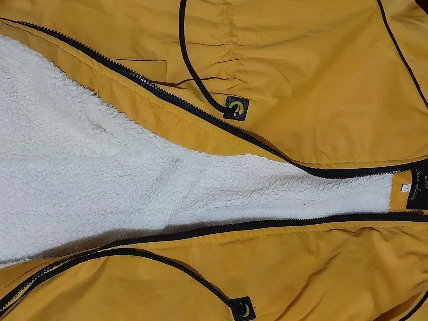 کاپشن درحدنو|لباس|نظرآباد, نظرآباد|دیوار