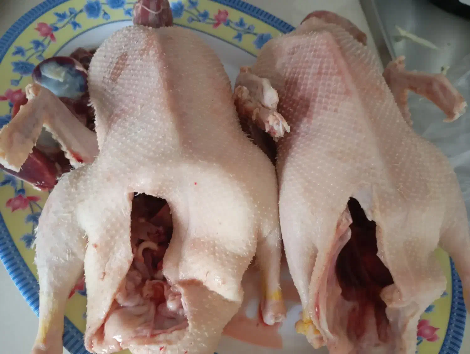 موجود زنده و پرکنده اردک محلی|حیوانات مزرعه|حویق, |دیوار