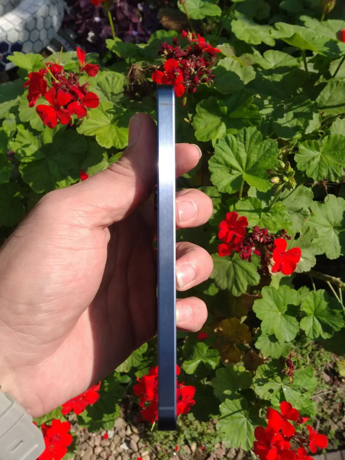 A55 256g ram 8|موبایل|بابل, |دیوار