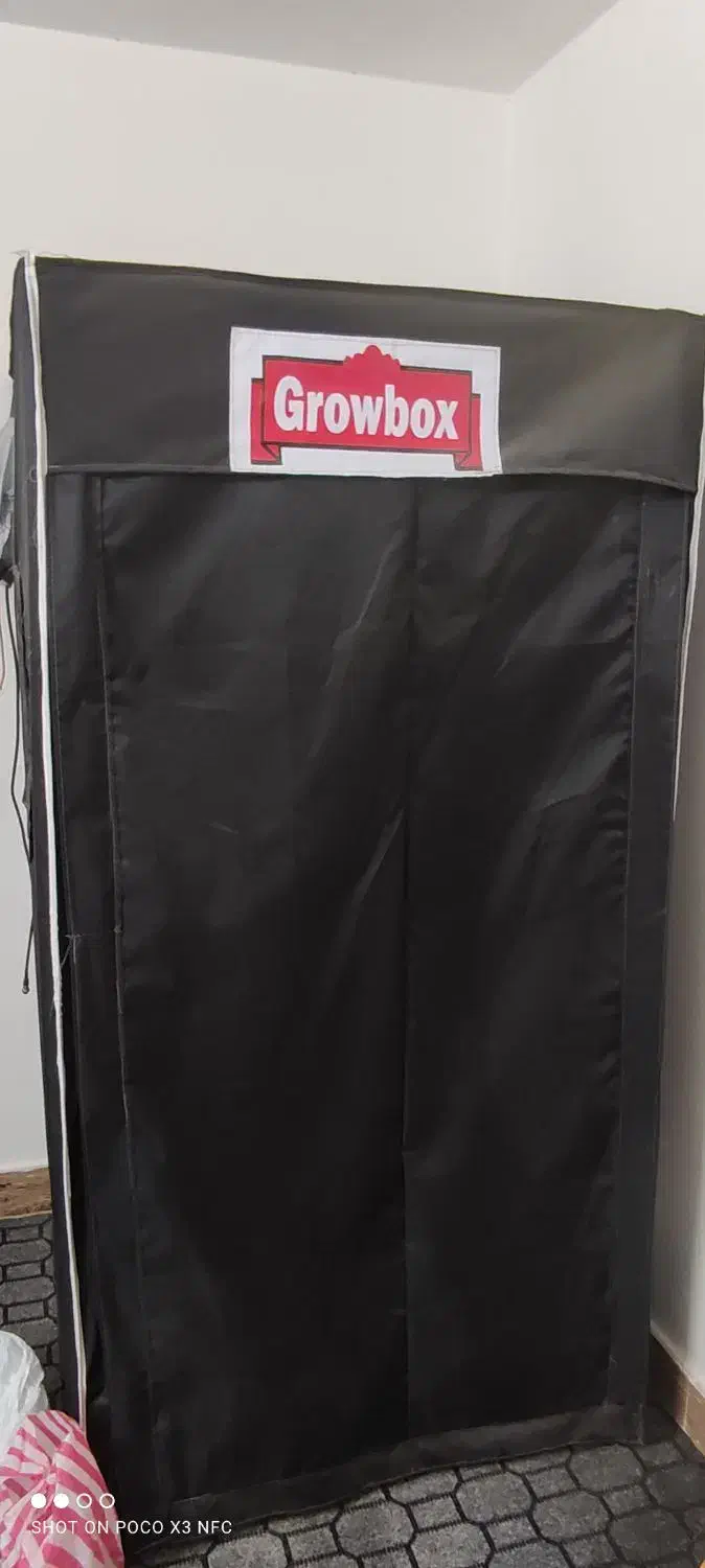 گروباکس یک دریک کشت گیاه|گل و گیاه طبیعی|شیراز, گویم|دیوار