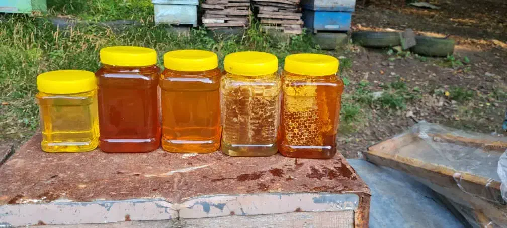 فروش عسل صددرصد طبیعی و جنگلی|خوردنی و آشامیدنی|چمستان, |دیوار