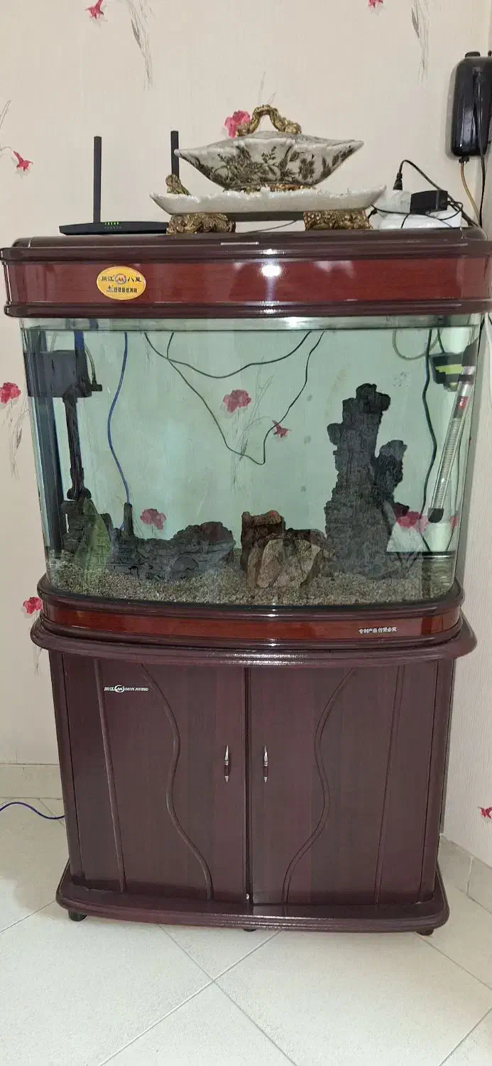 lکواریوم|ماهی|مشهد, حجاب (شهرک غرب)|دیوار