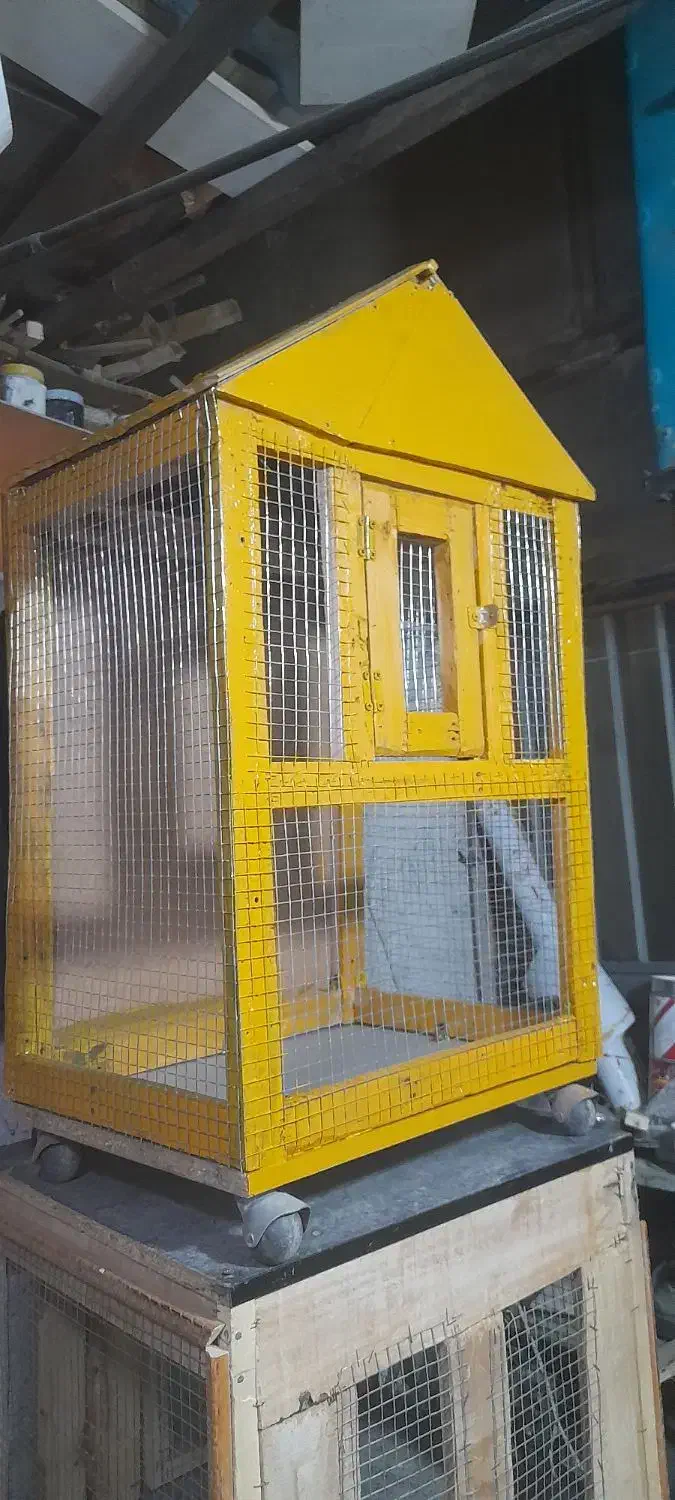 قفس مرغ وکبوتر|لوازم جانبی حیوانات|ملایر, |دیوار