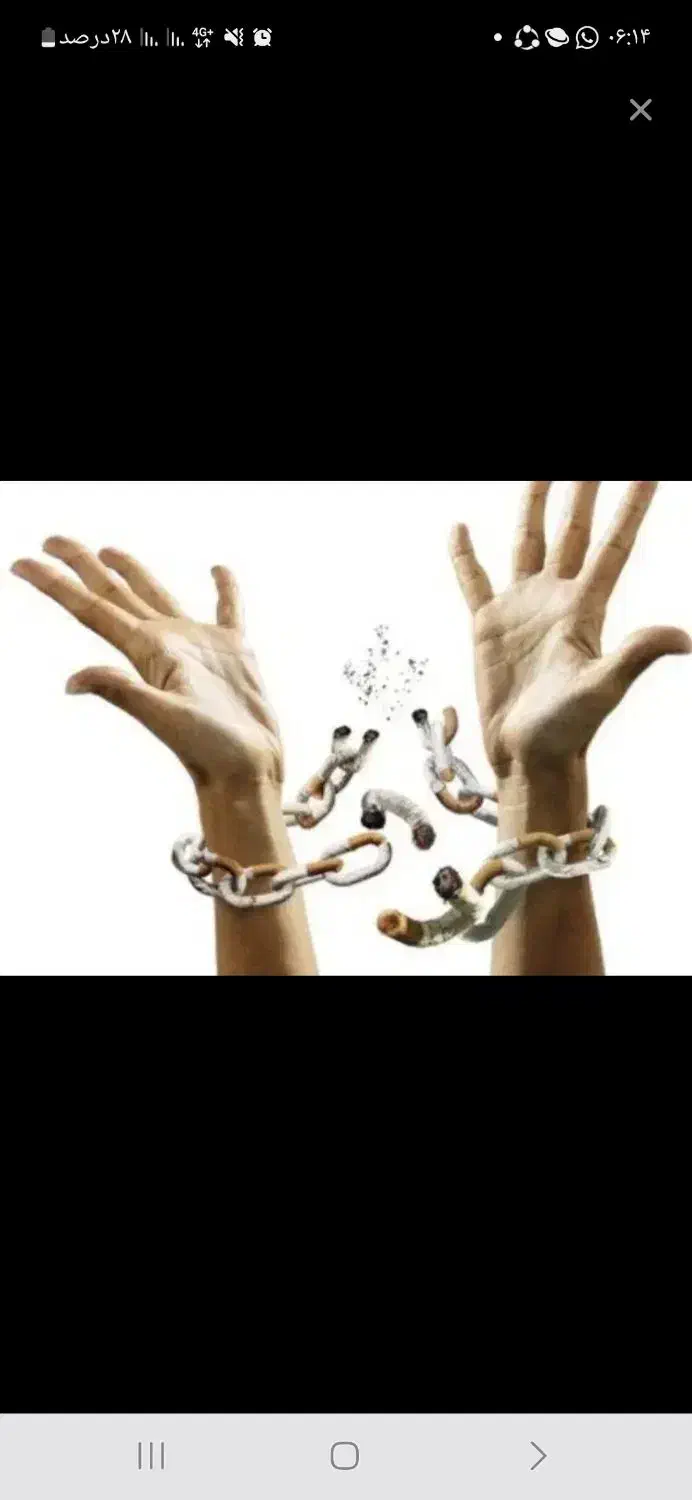 عفونت  . گیاهی . لیابل . مشاور|آرایشی، بهداشتی، درمانی|بندرعباس, |دیوار