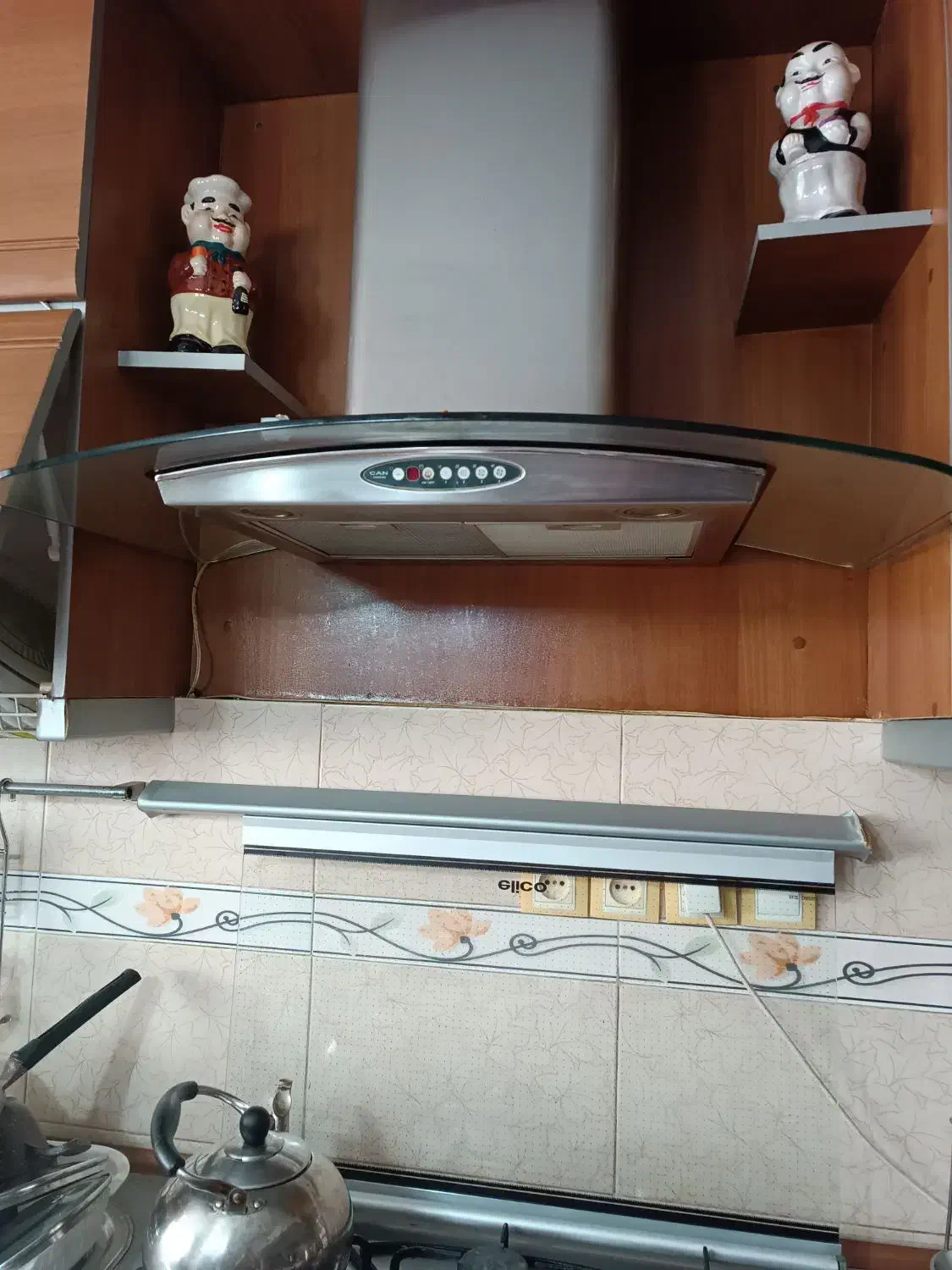 هود کن|هود|رشت, کاکتوس|دیوار