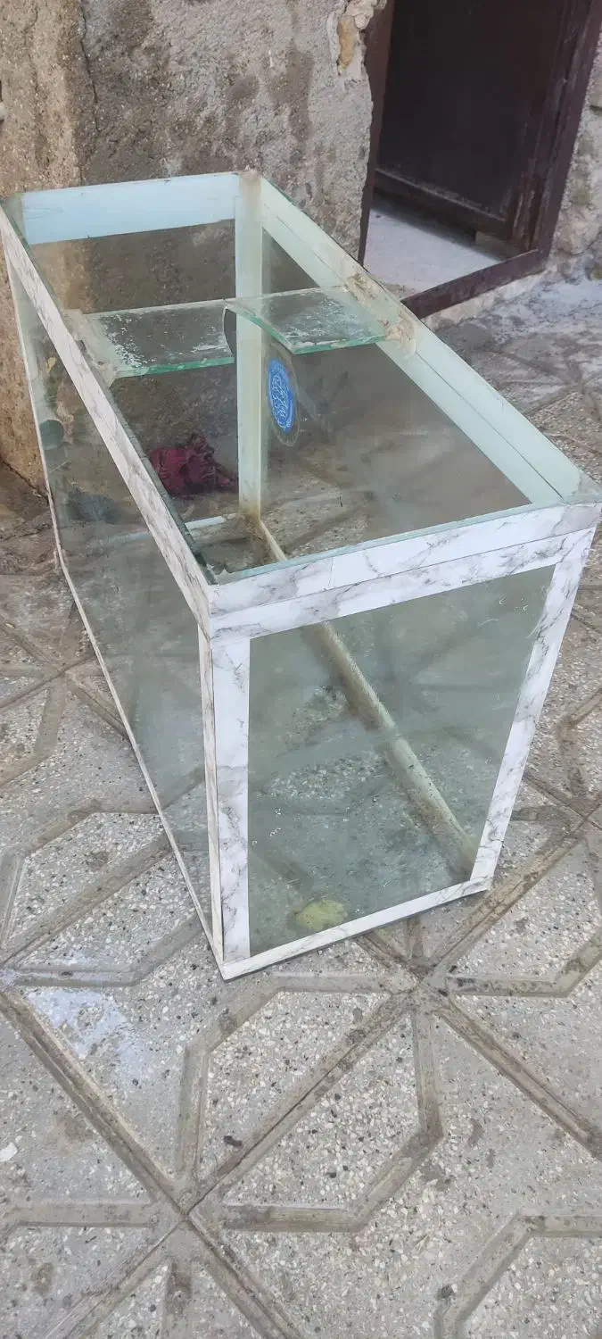 اکواریوم ماهی|ماهی|شیروان (خراسان), |دیوار