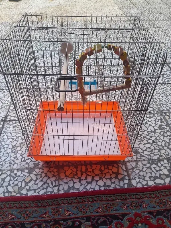 عدد قفس پرنده|لوازم جانبی حیوانات|نسیمشهر, |دیوار