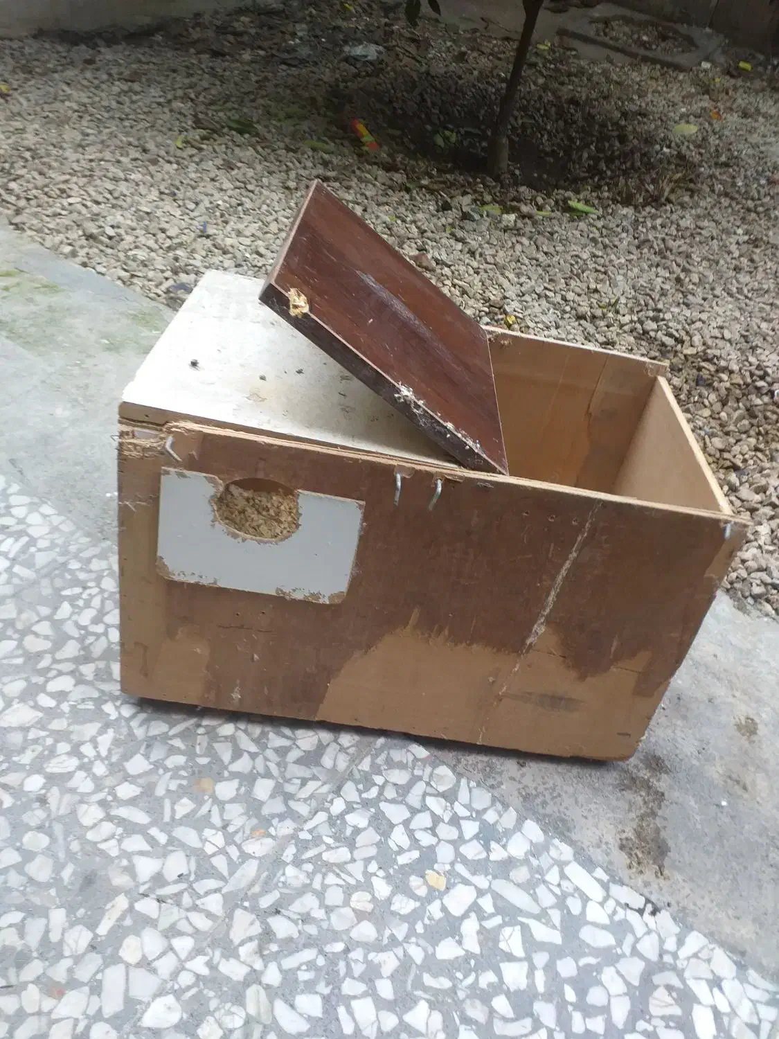 لانه طوطی و مرغ عشق|لوازم جانبی حیوانات|قائم‌شهر, |دیوار