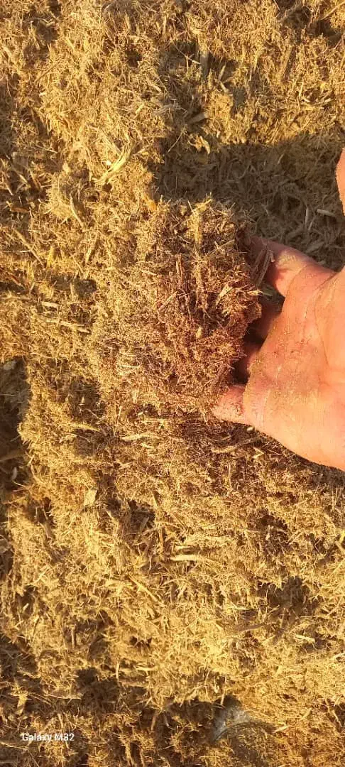 اغذیه مناسب کاه صنعتی|خدمات باغبانی و درختکاری|بم, |دیوار