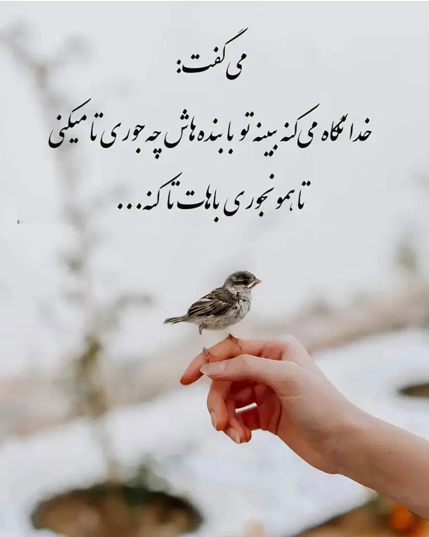 مژدگانی انگشتر گمشده در ولیعصر قصردشت|اشیا|شیراز, عفیف‌آباد|دیوار