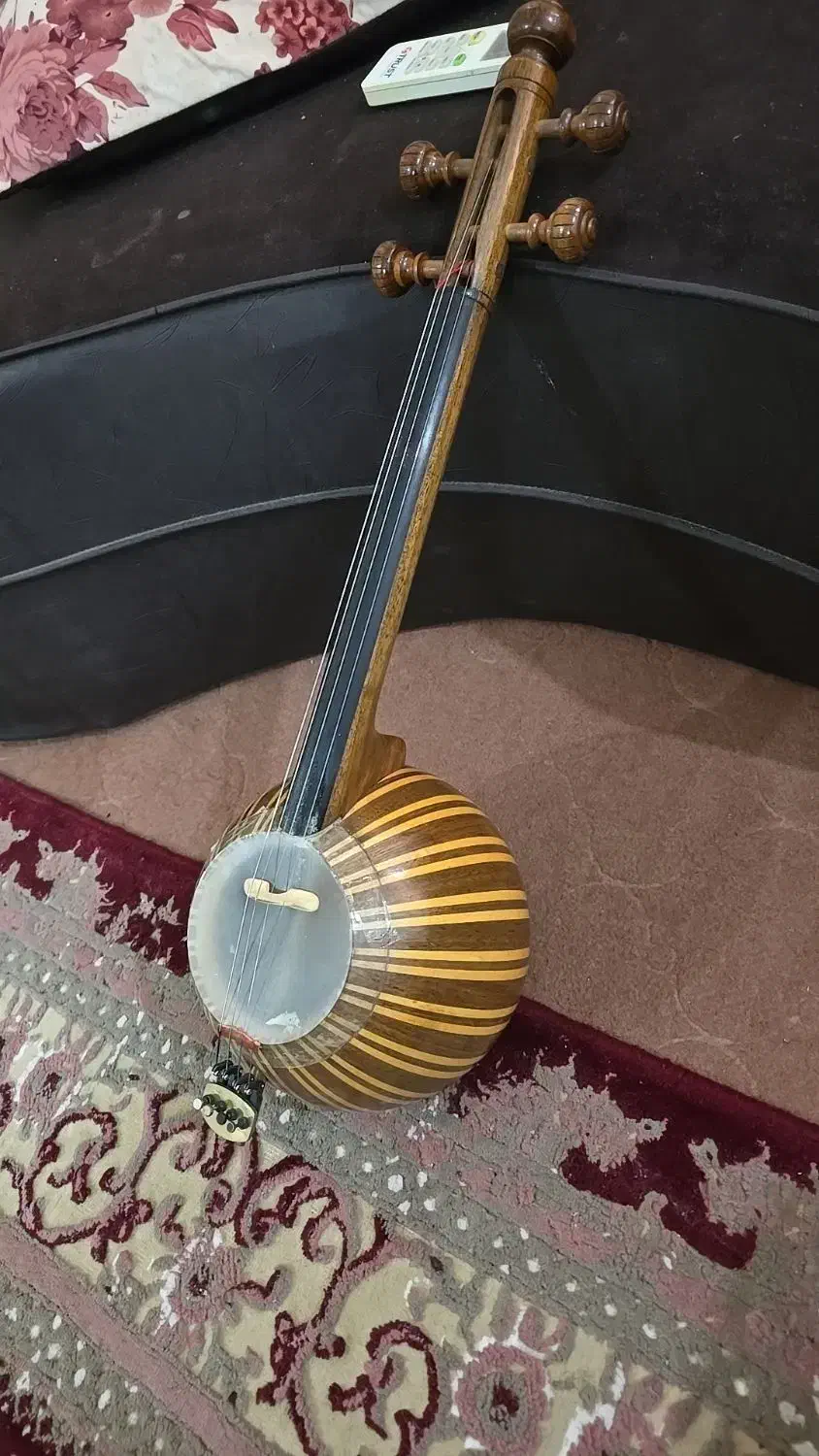 کمانجه ۴۰ ترک|سازهای سنتی|اهواز, زیتون کارمندی|دیوار