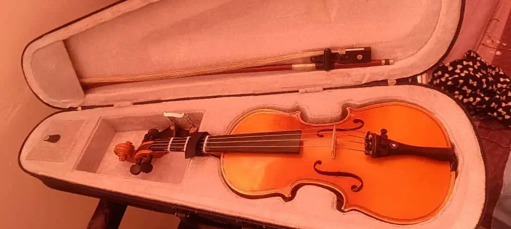 ویولن tf142|ویولن|شیراز, گلدشت معالیآباد|دیوار