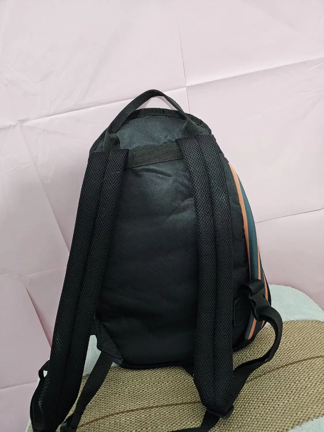 کیف حمل پت|لوازم جانبی حیوانات|سیرجان, |دیوار