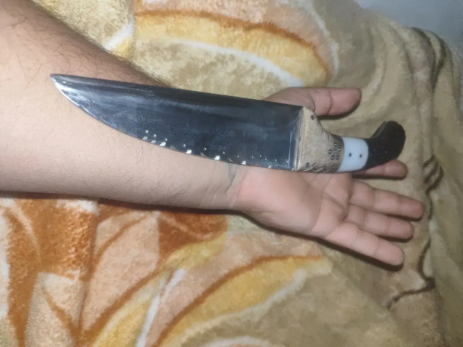 چاقو کارد|کوهنوردی و کمپینگ|مرودشت, بیست متری بیمارستان|دیوار