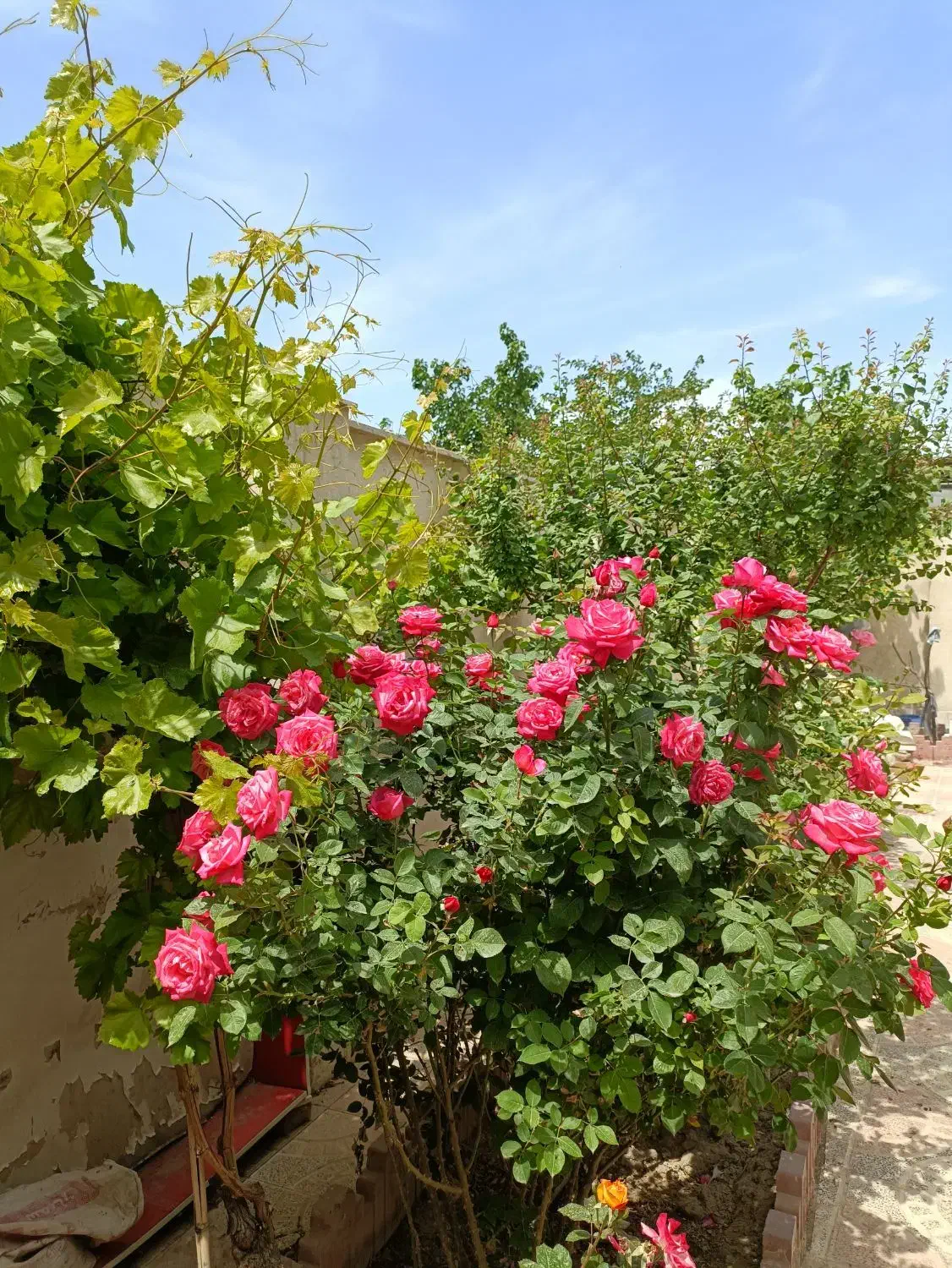 خانه ویلایی دو طبقه پارکینگ مجزا با حیاط|فروش خانه و ویلا|صفادشت, |دیوار