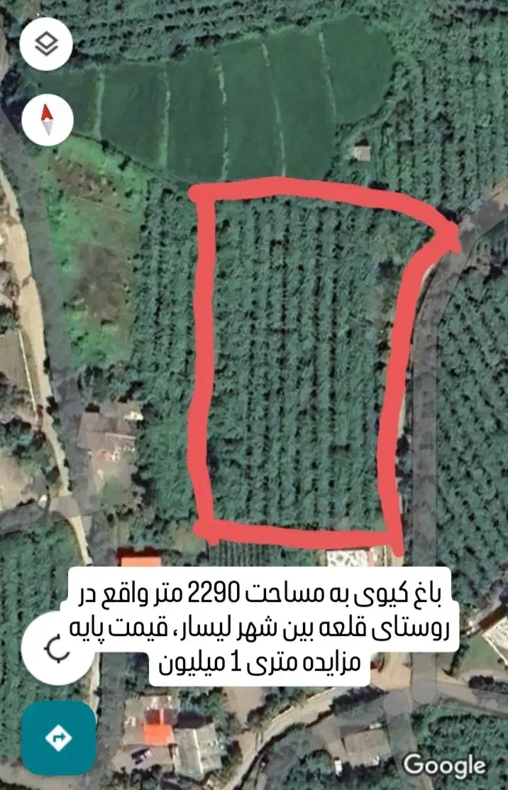 اطلاعیه فروش مزایده ای زمین، باغ کیوی و شالیزار|فروش زمین و ملک کلنگی|لیسار, |دیوار