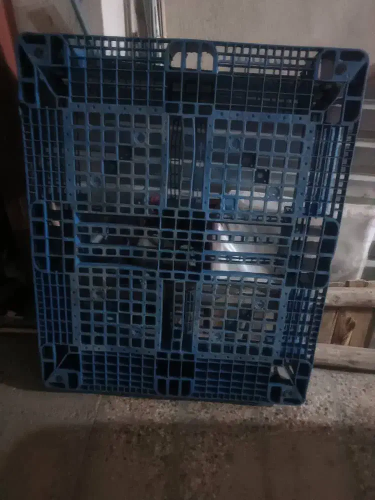 پالت پلاستیکی|مصالح و تجهیزات ساختمان|ایلام, |دیوار