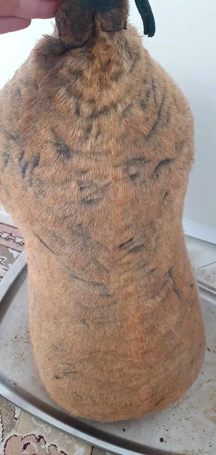 هیزه(حزول، خیک)|ظروف نگهدارنده، پلاستیکی، یکبارمصرف|ازنا, |دیوار