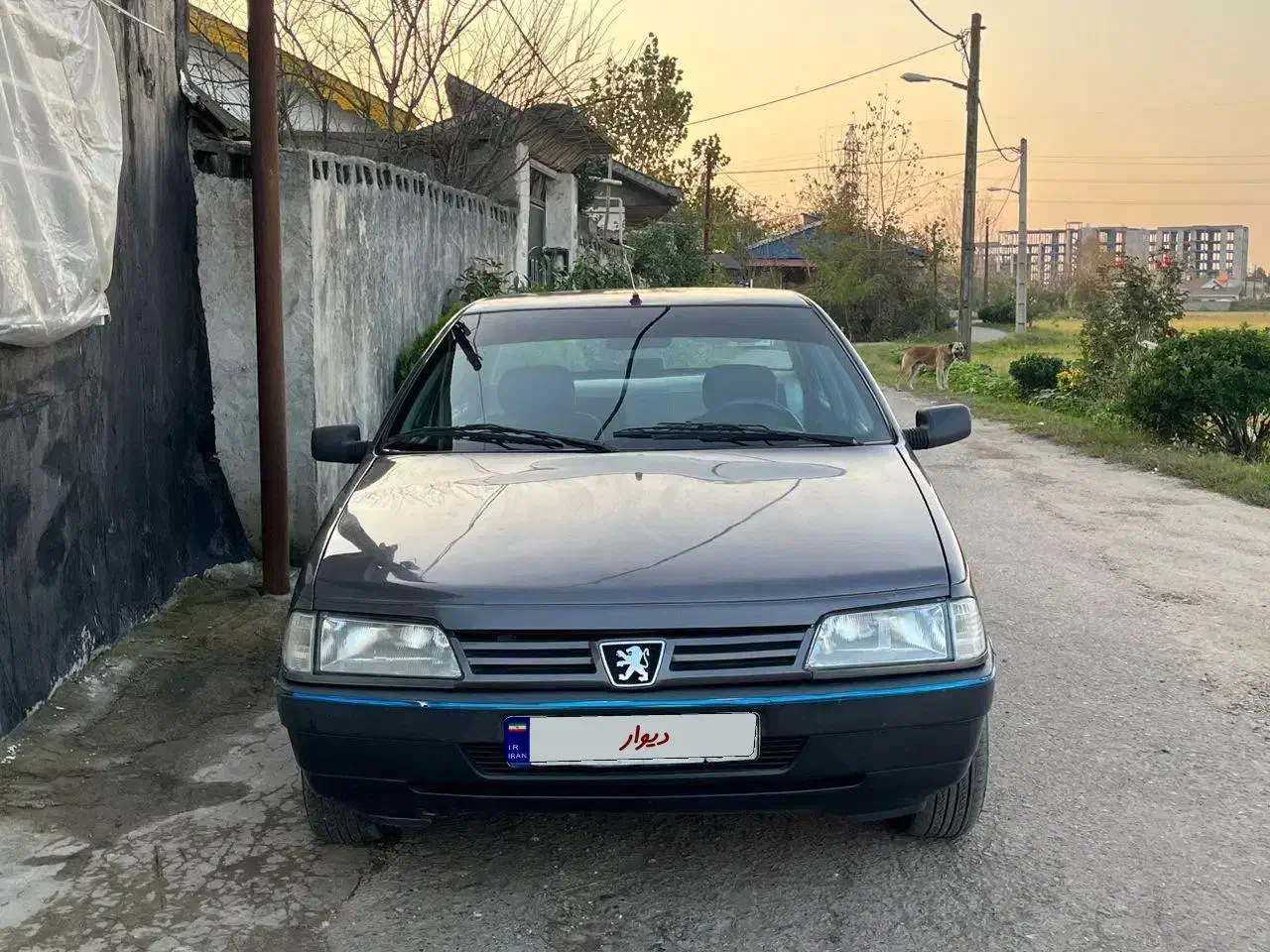 روا ۸۶|خودرو سواری و وانت|رشت, فرودگاه سردار جنگل رشت|دیوار