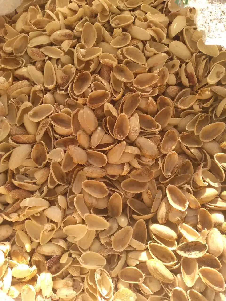 فروش پوست پسته|خدمات باغبانی و درختکاری|احمدآبادمستوفی, |دیوار