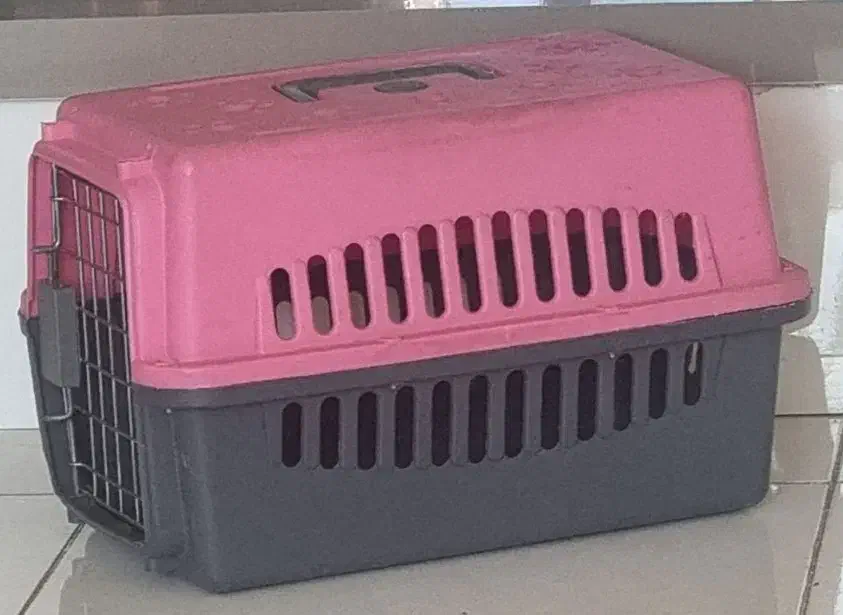 باکس حمل گربه و سگ|لوازم جانبی حیوانات|شیراز, شهرک استقلال|دیوار