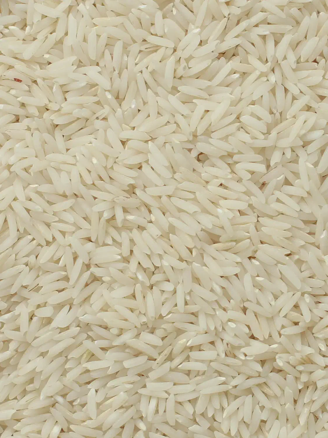 برنج هاشمی ۳۱۰|خوردنی و آشامیدنی|رشت, بیجارپس|دیوار