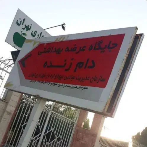جایگاه عرضه گوسفند زنده شهرداری تمام نقاط تهران|حیوانات مزرعه|تهران, شهران شمالی|دیوار