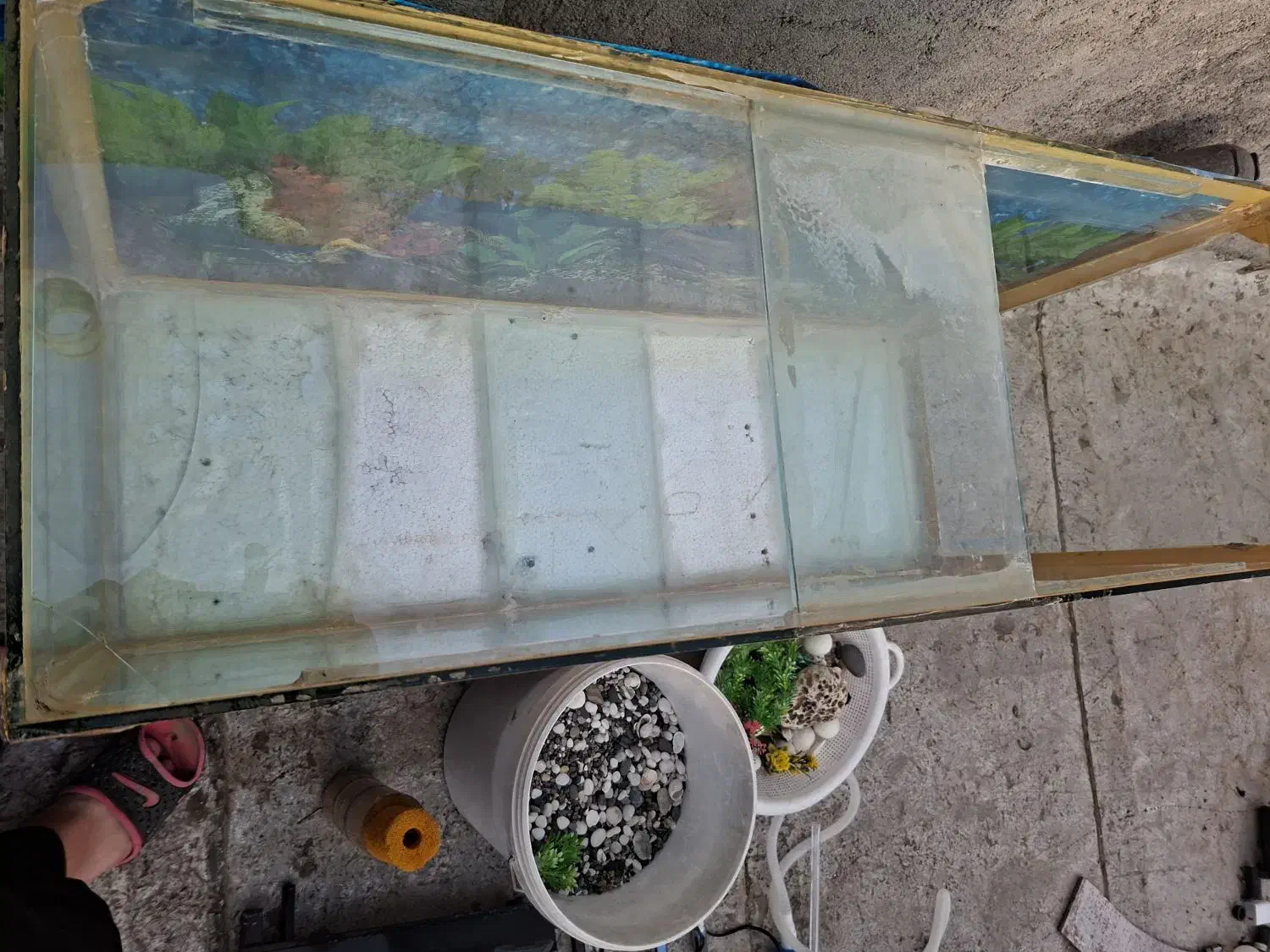 آکواریوم|ماهی|نجف‌آباد, امیرآباد|دیوار