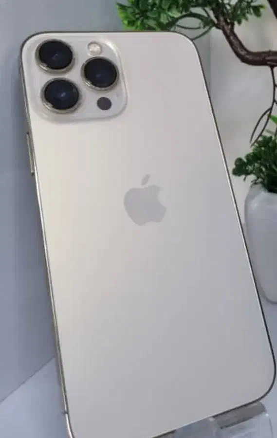 آیفون۱۳پرومکس|موبایل|شیراز, زند|دیوار