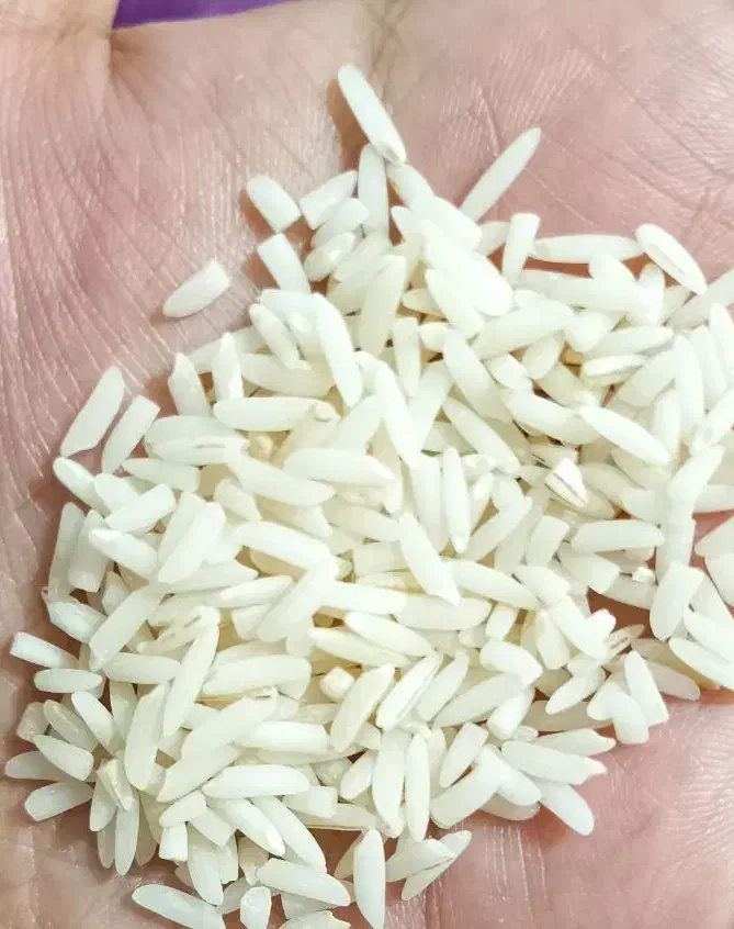 برنج نیم دانه و برنج هاشمی درشت|خوردنی و آشامیدنی|رشت, نظری|دیوار