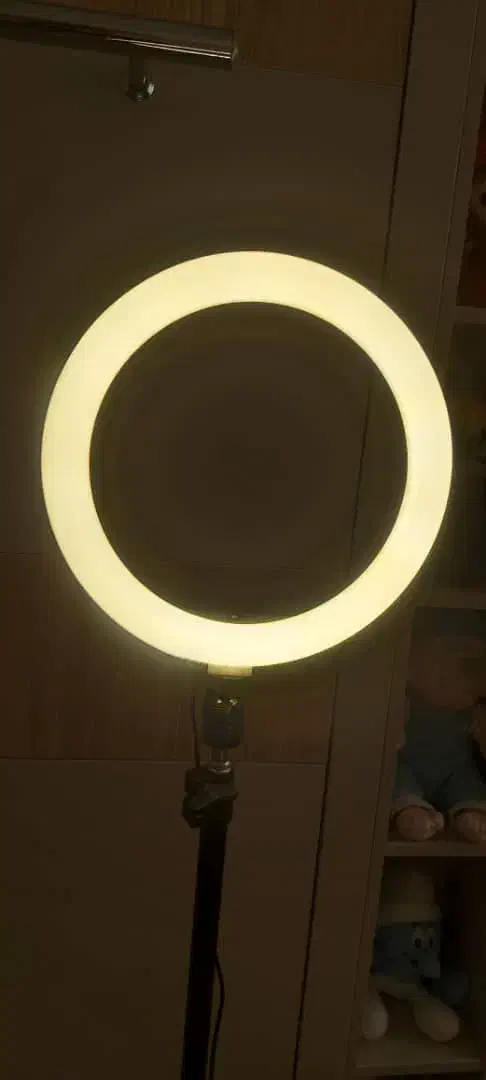 رینگ لایت|دوربین عکاسی و فیلمبرداری|فردیس, فردیس|دیوار