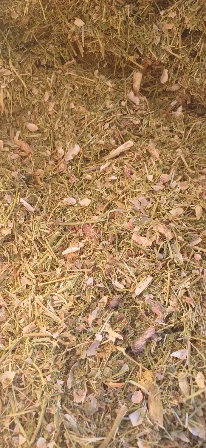 فروش کاه لوبیا چیتی نرم و کاه عدس خرمنکوب شده|لوازم جانبی حیوانات|قزوین, |دیوار