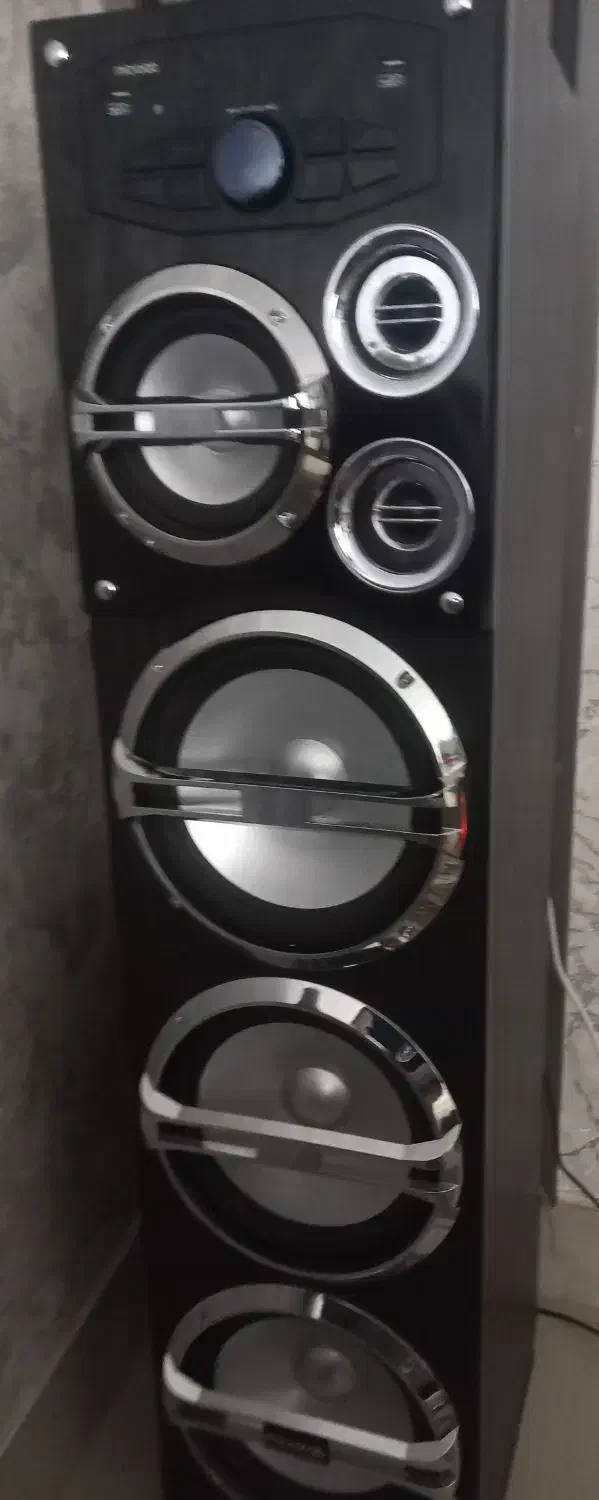 یک جفت باند میکرو لپ|سیستم صوتی خانگی|تربت جام, حافظ|دیوار