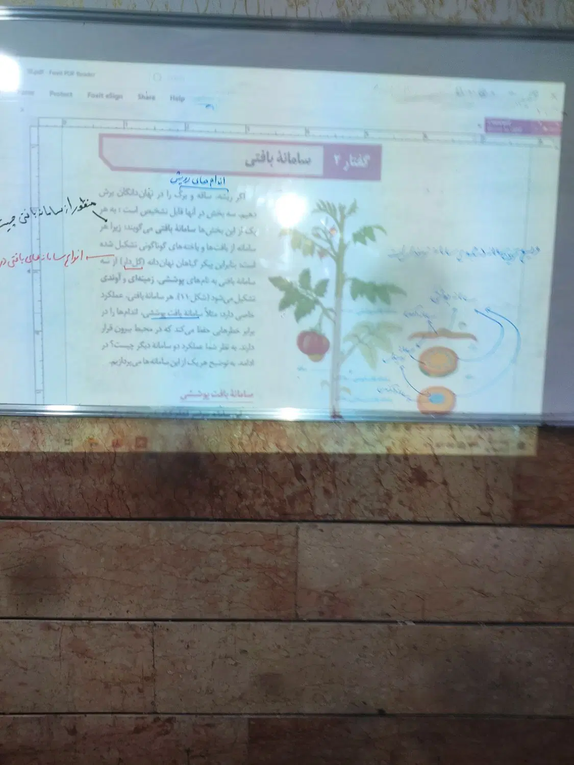 تدریس خصوصی زیست شناسی ( امتحان نهایی و کنکور)|خدمات آموزشی|تهران, گلستان (شهرک راه آهن)|دیوار