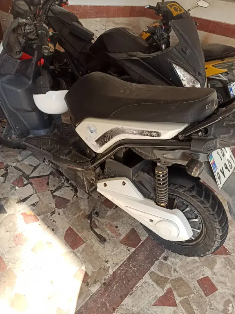 سافاری مادو|موتورسیکلت|کیش, |دیوار