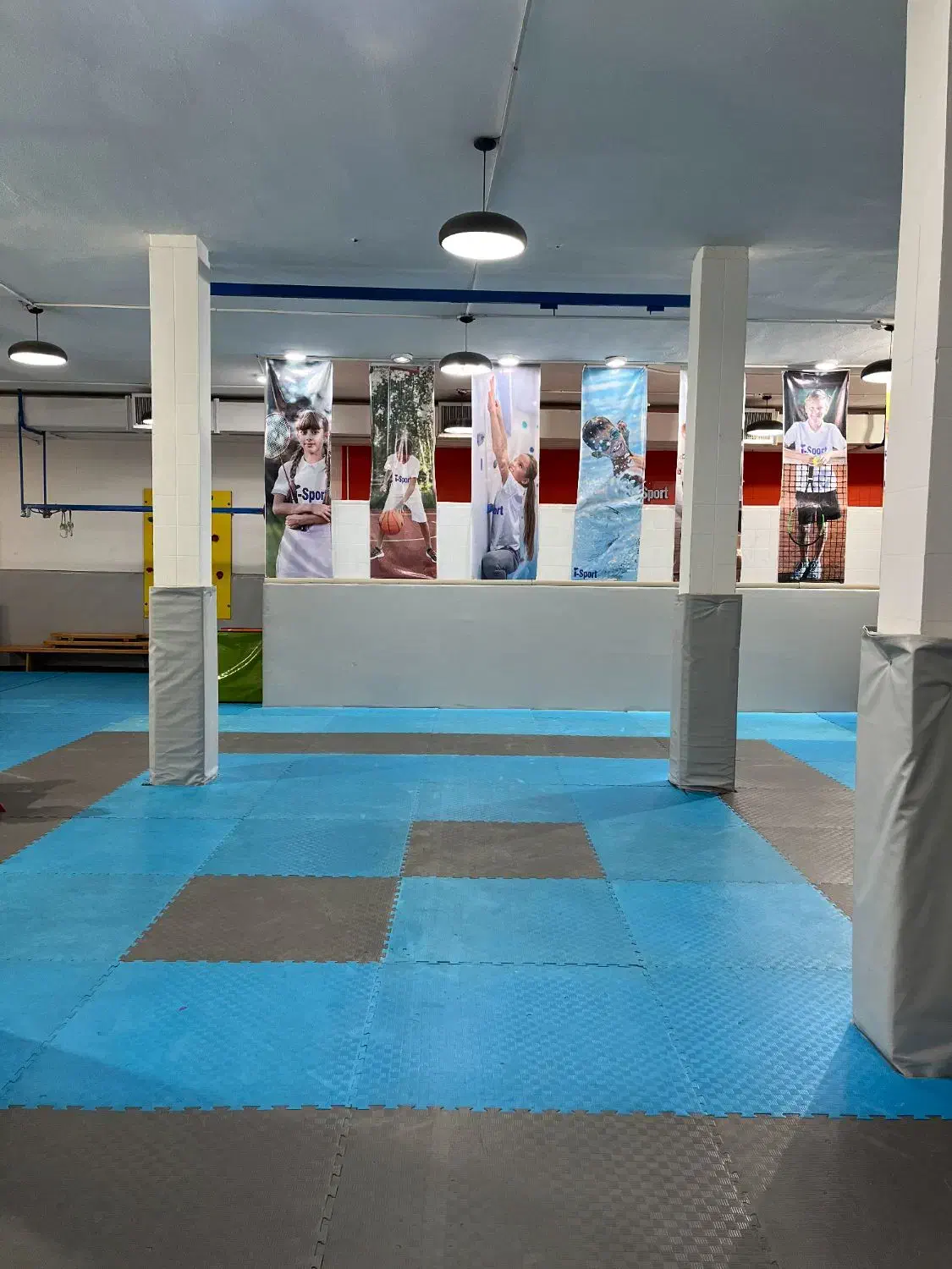 فروش تاتمی|تجهیزات ورزشی|شیراز, فرهنگ شهر|دیوار