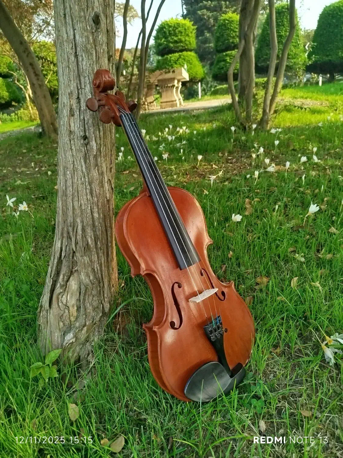 ویالون ،4/4، کارکرد خیلی کم،|ویولن|رامسر, |دیوار