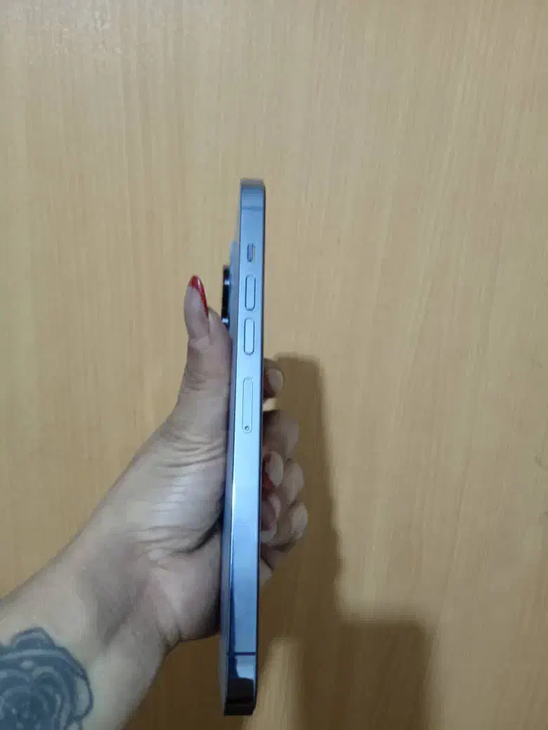 13promax512gig|موبایل|اصفهان, الهیه|دیوار