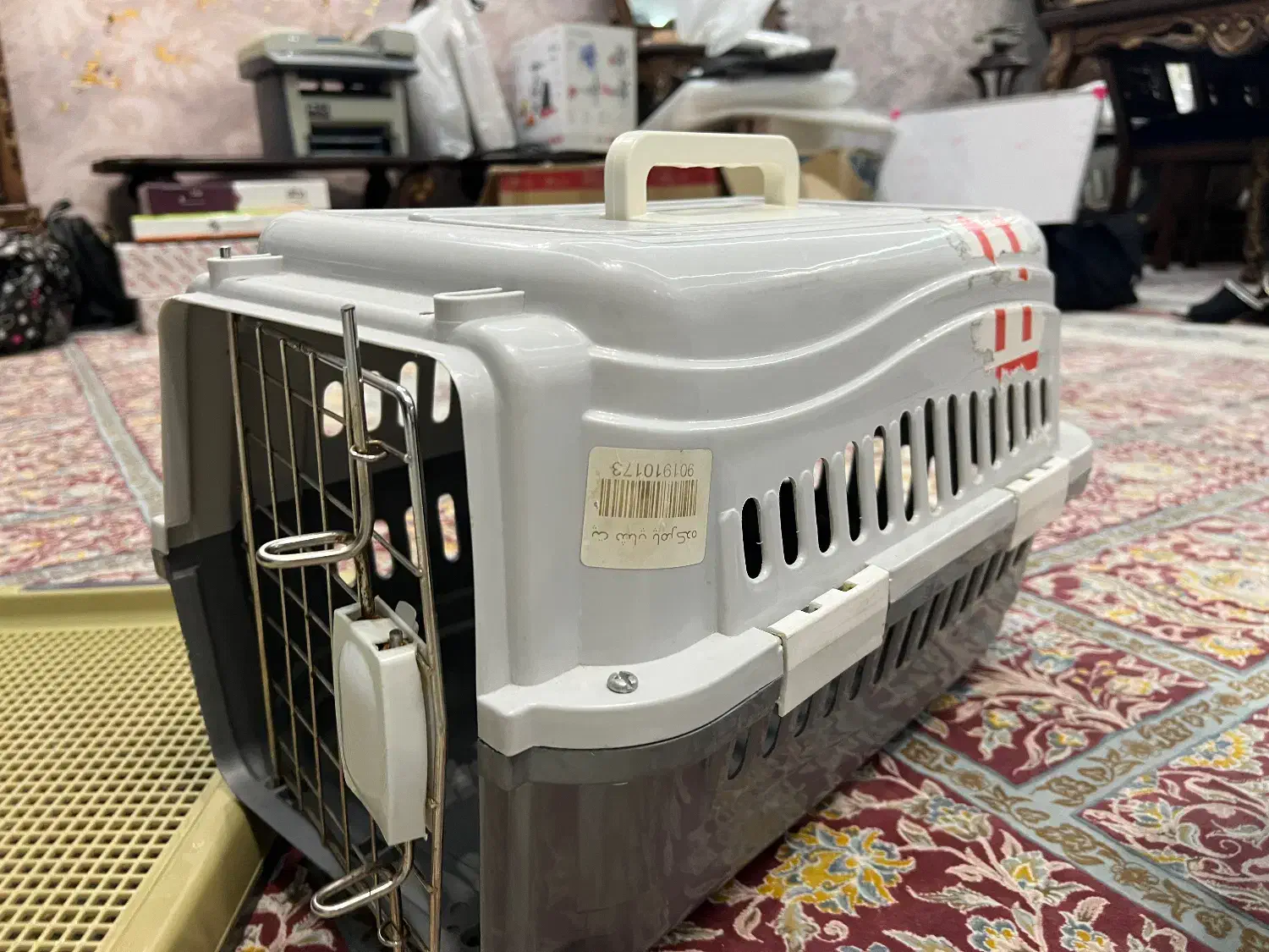 فروش لوازم پت|لوازم جانبی حیوانات|مشهد, هنرستان|دیوار