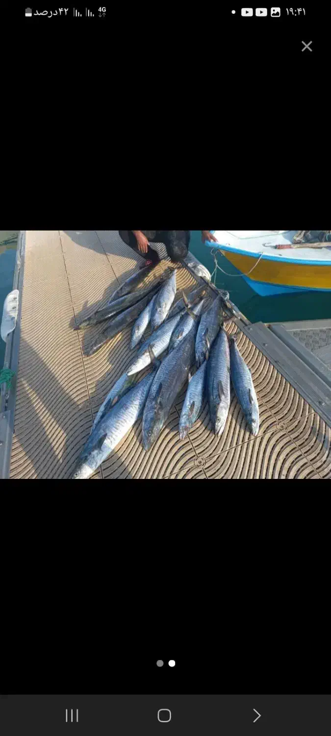 ماهیگیری تفریحی با قایق|ماهیگیری|چابهار, |دیوار