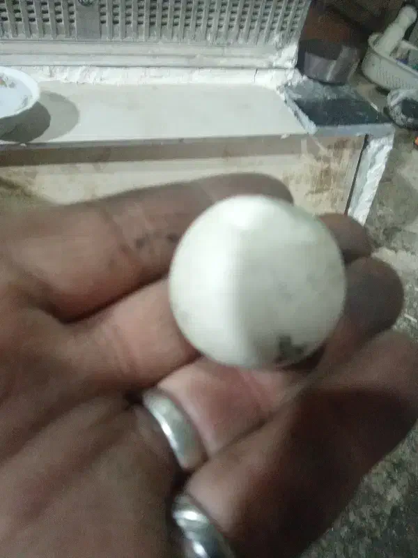 دوتاسنگ‌اسیاب ‌|کلکسیون اشیاء عتیقه|قروه, |دیوار