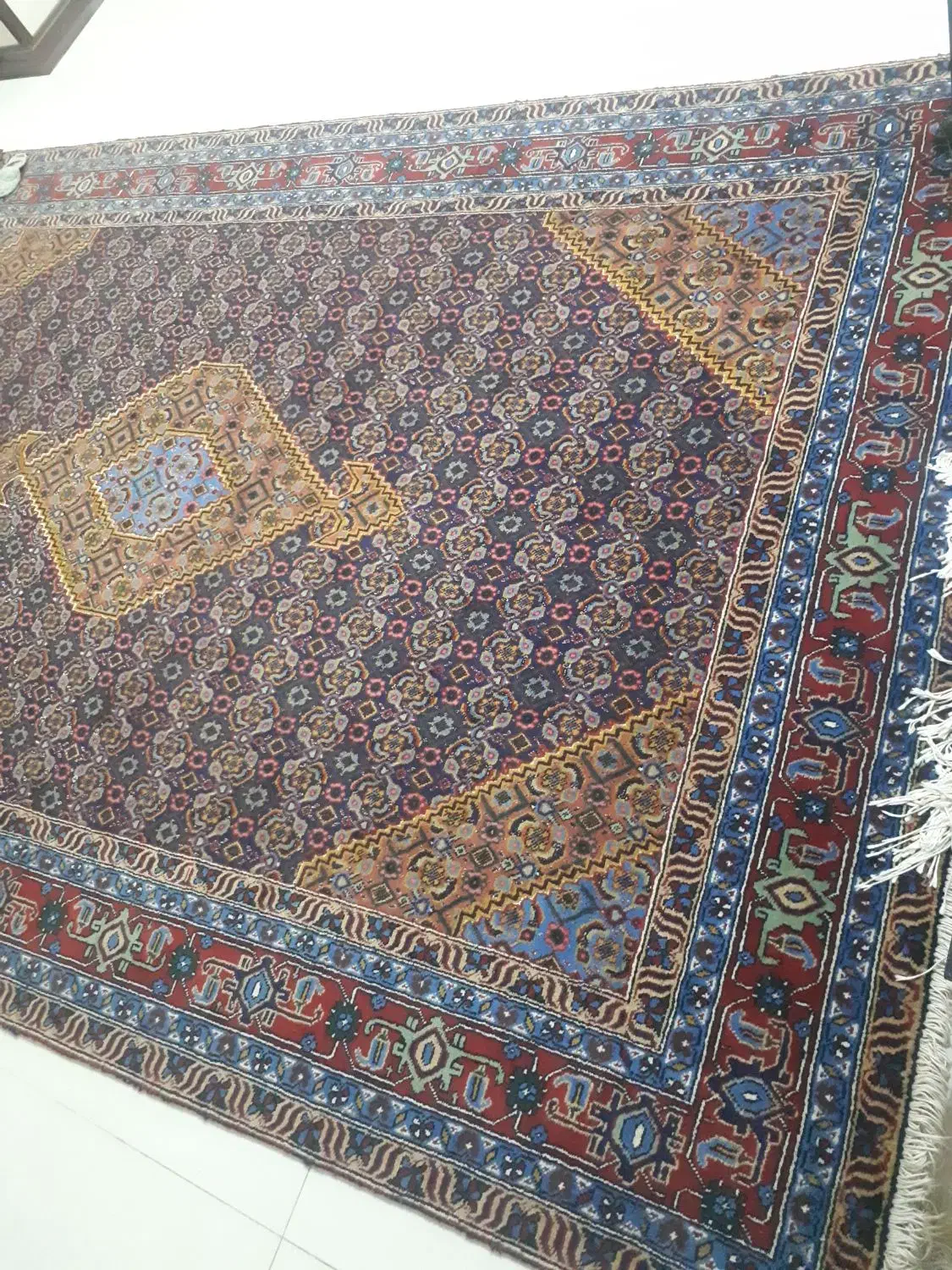 فرش دستباف ۶ متری|فرش|رشت, حومه رشت|دیوار