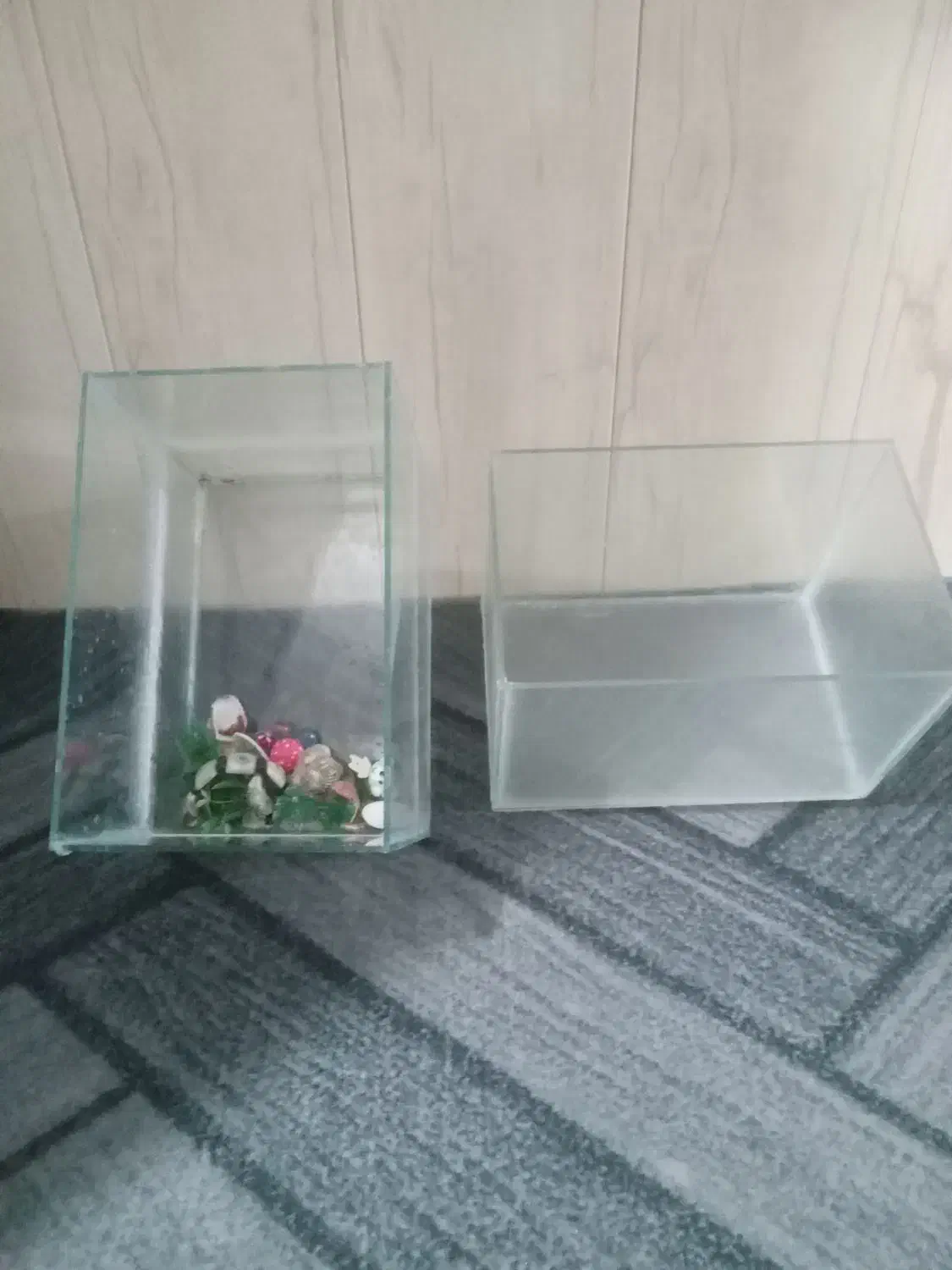 آکواریم چهار عدد سالم|ماهی|مشهد, رده|دیوار