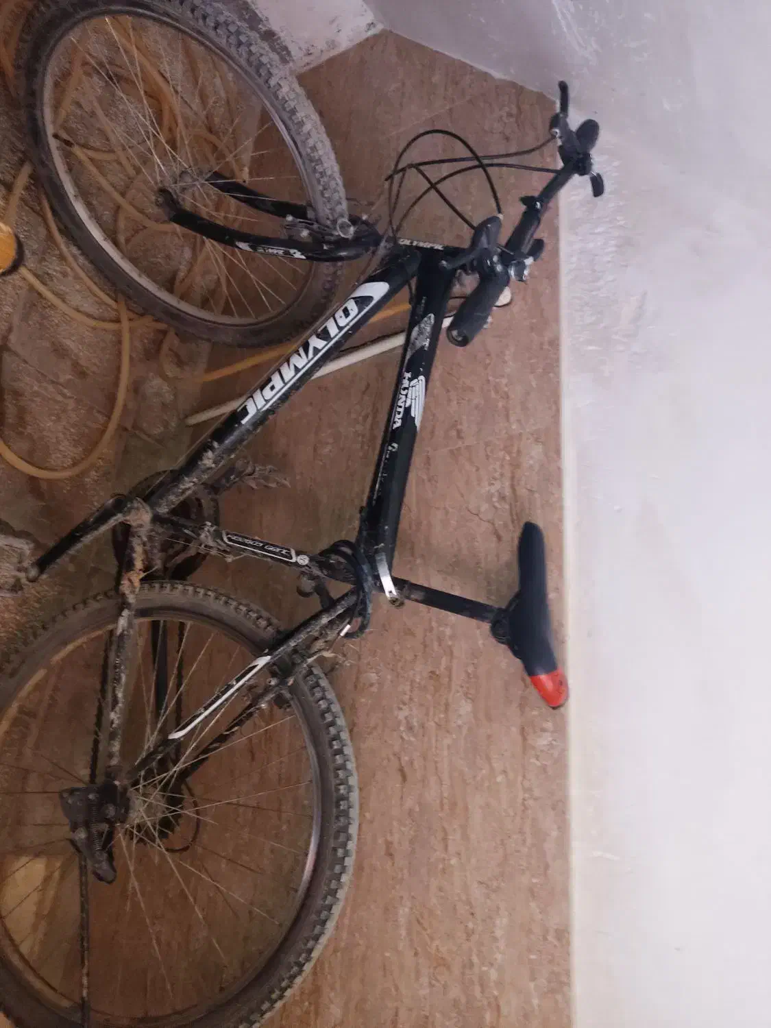 چرخ 16 و 26|دوچرخه، اسکیت، اسکوتر|اسفراین, |دیوار