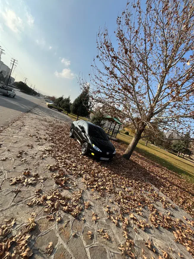 206 sd v8 مدل ۹۵|خودرو سواری و وانت|ارومیه, |دیوار