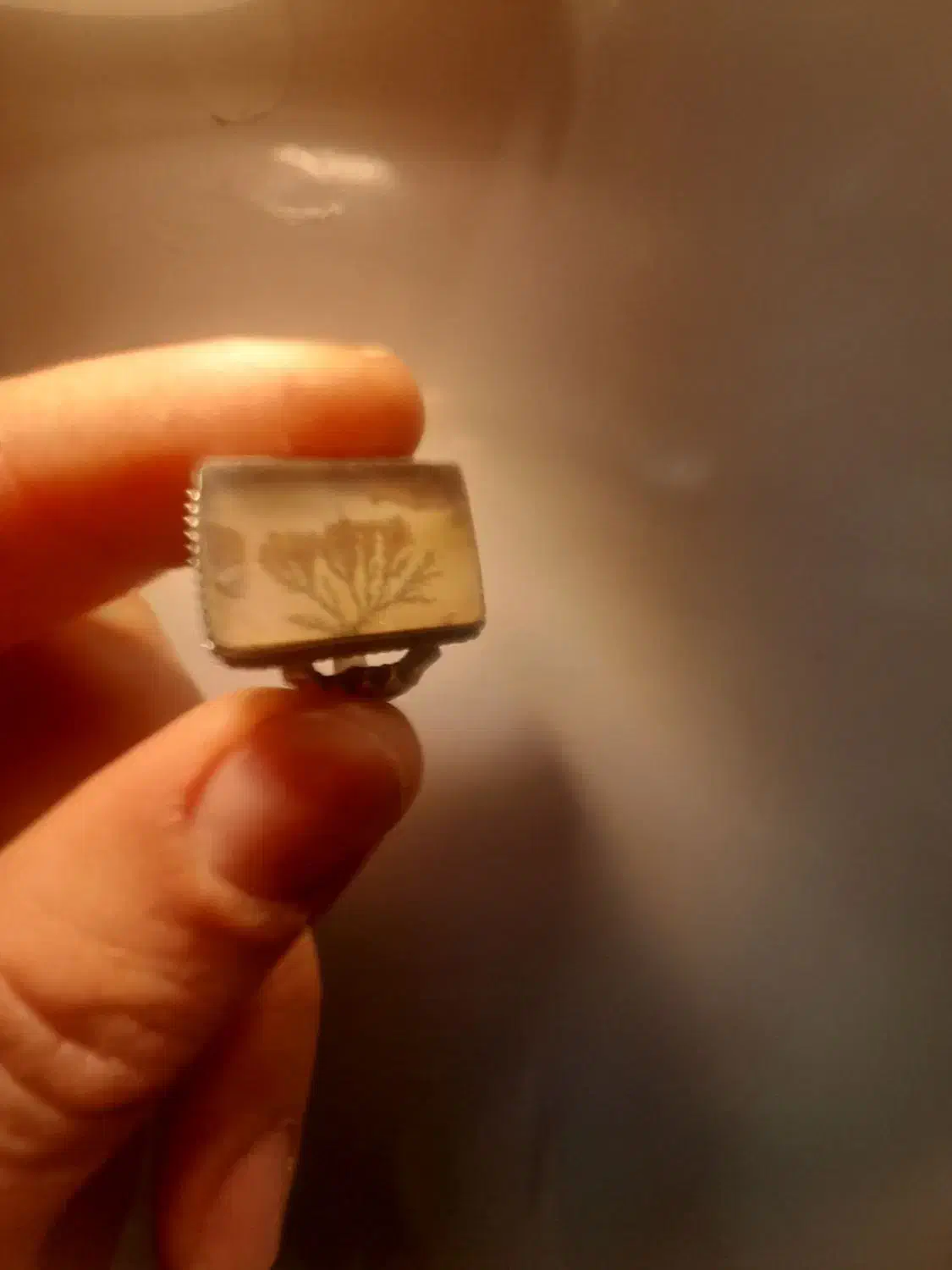 انگشتر نقره|جواهرات|شاهین‌شهر, نظامی|دیوار