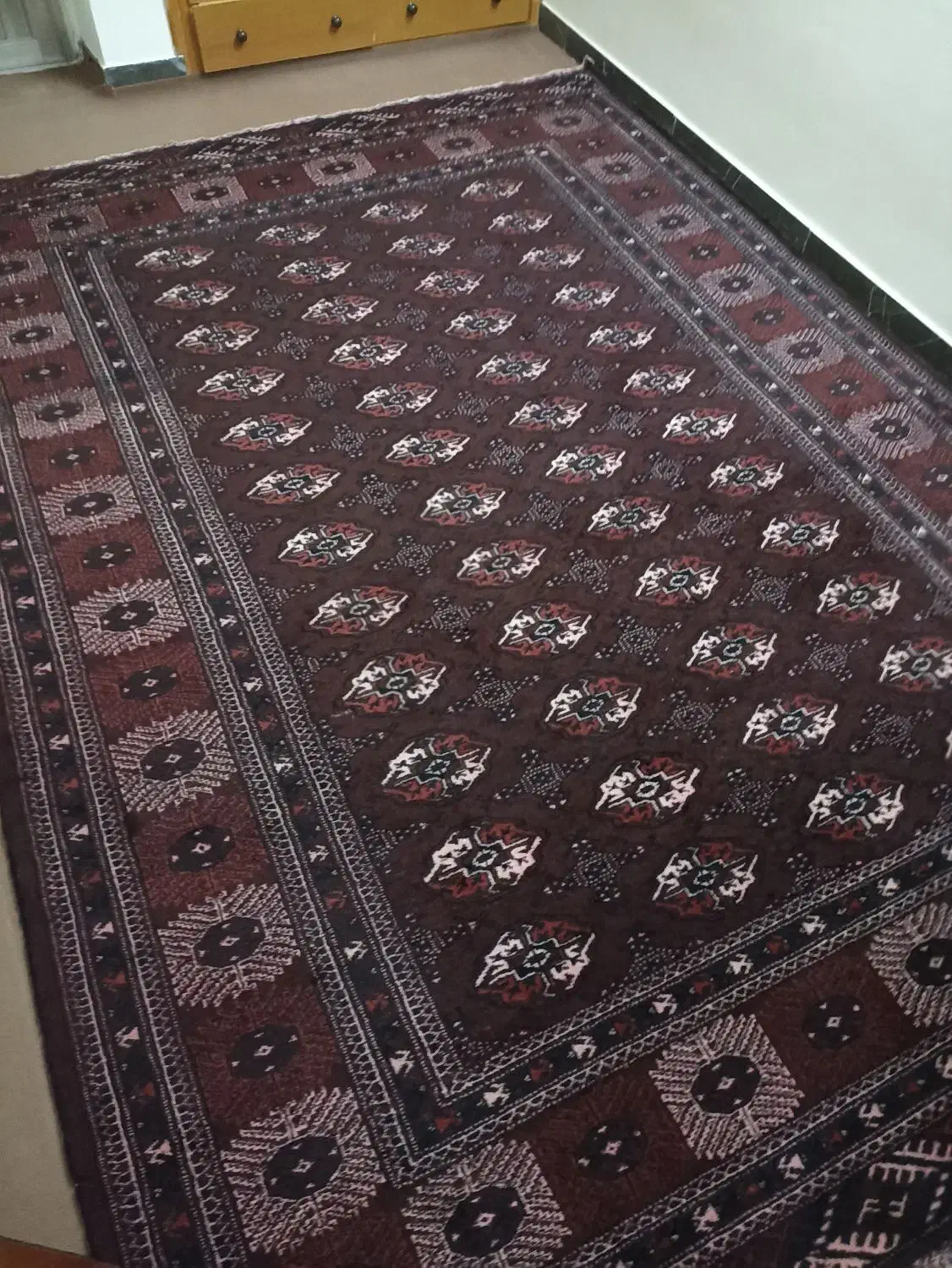 فرش دست بافت وماشینی|فرش|گنبد کاووس, |دیوار