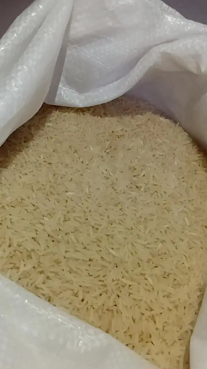 برنج فجر روغنی سوزنی مینودشت|عمده‌فروشی|گنبد کاووس, |دیوار