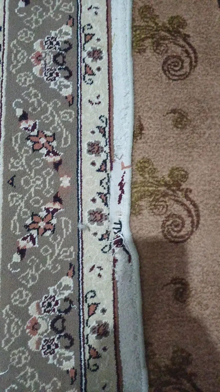 قالیچه|فرش|مشهد, کوی دروی|دیوار